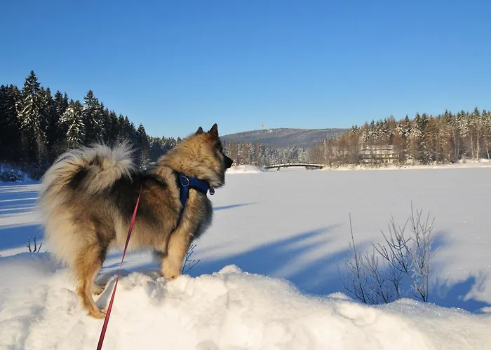 Fichtelsonne Fichtelberg