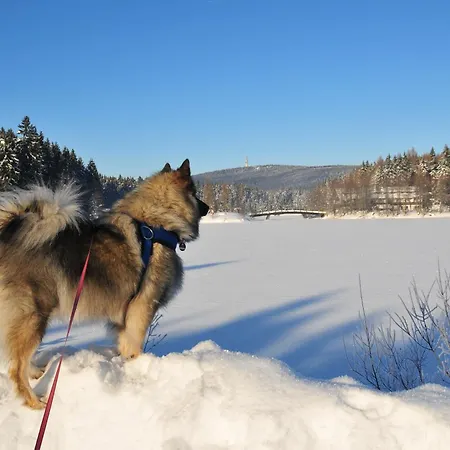 Fichtelsonne Fichtelberg